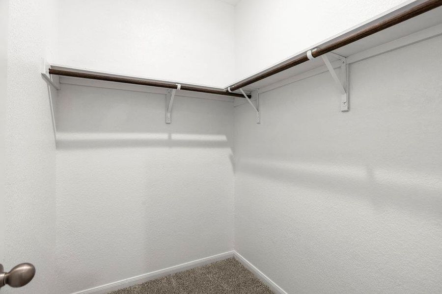 Walk in closet with carpet floors