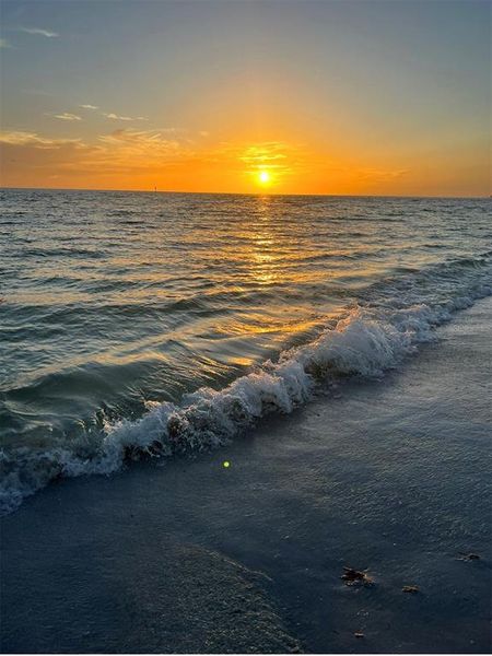 Natural landscape and outdoor views near  in St. Petersburg (Image 37).