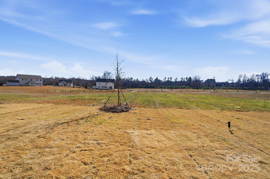 Image 46 of a home in Blair Place.