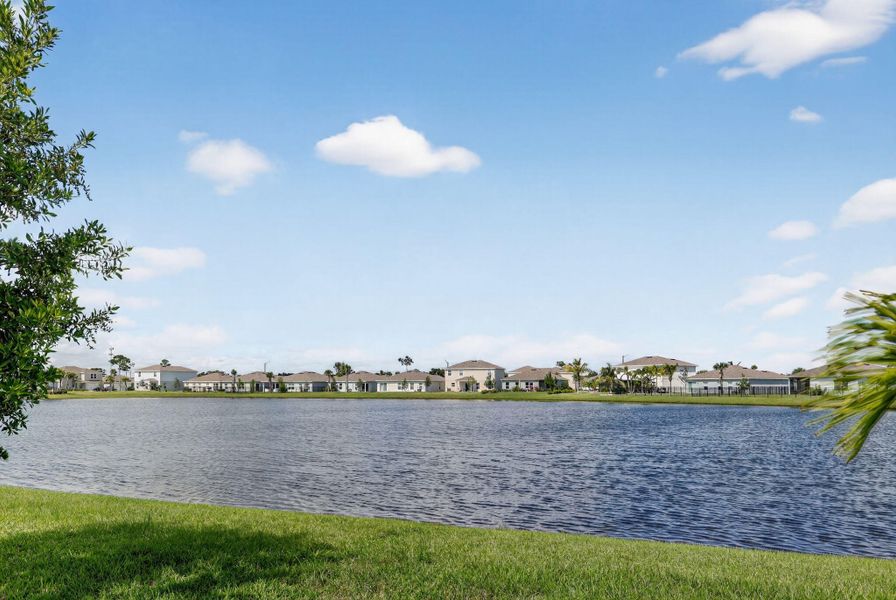 35-web-or-mls-3A5A6303