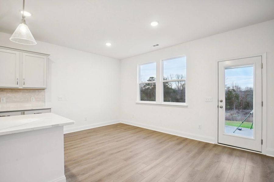 Spacious, unfurnished interior of a new home in Willow Landing, Mount Juliet (Image 27). Spacious, unfurnished interior of a new home in Willow Landing, Mount Juliet (Image 27).