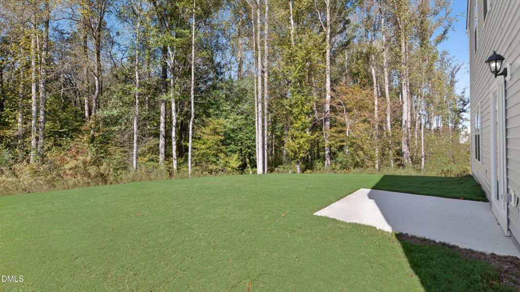 olive-branch-lot-99-002