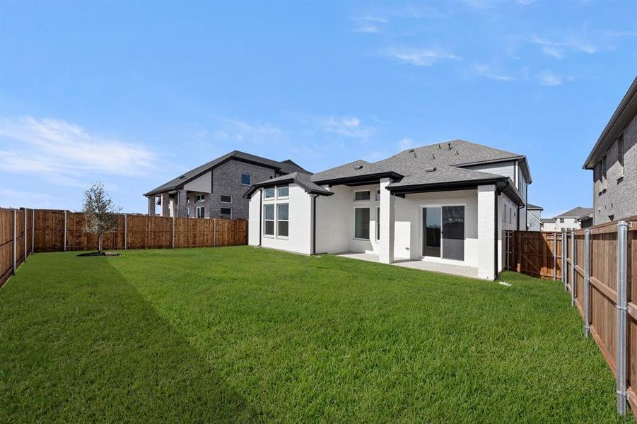 27. 5412 Archeron - Back (2)