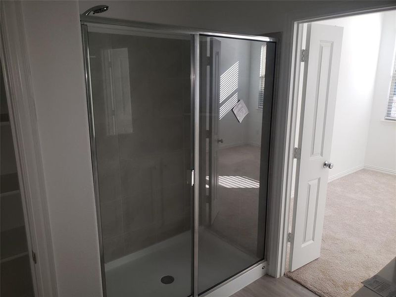 Primary Suite Shower / Glass