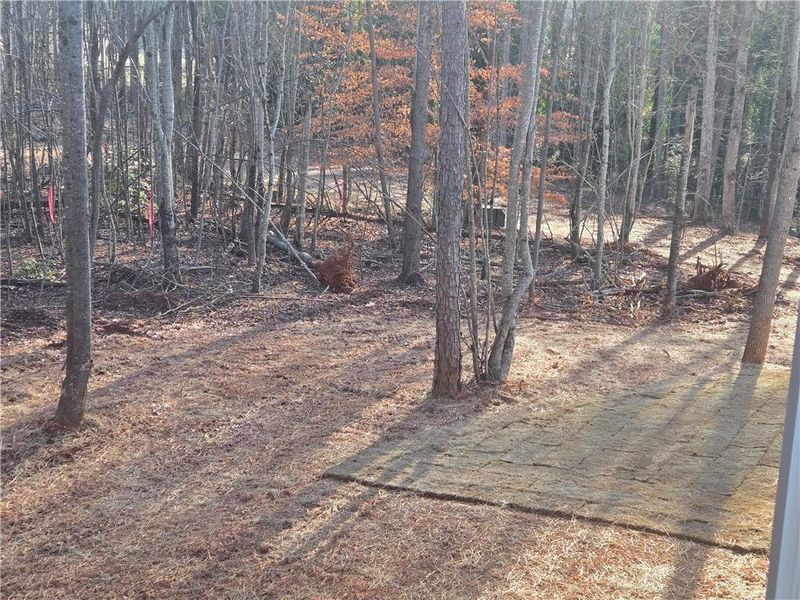 Natural landscape and outdoor views near  in Demorest (Image 29).