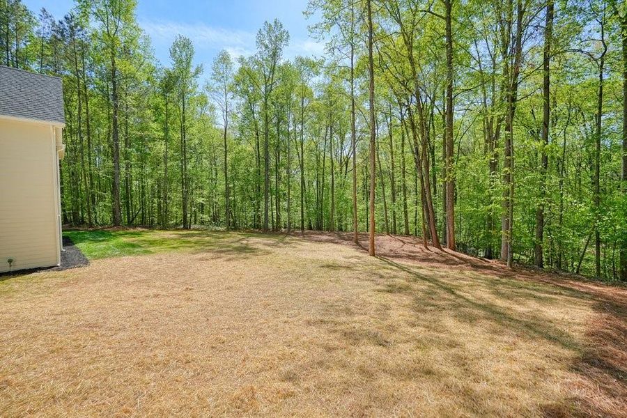 Natural landscape and outdoor views near  in Canton (Image 71).