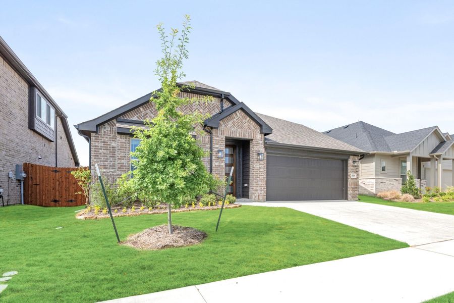 Single-story brick home with dark trim, two-car garage, and landscaped front yard with young tree.