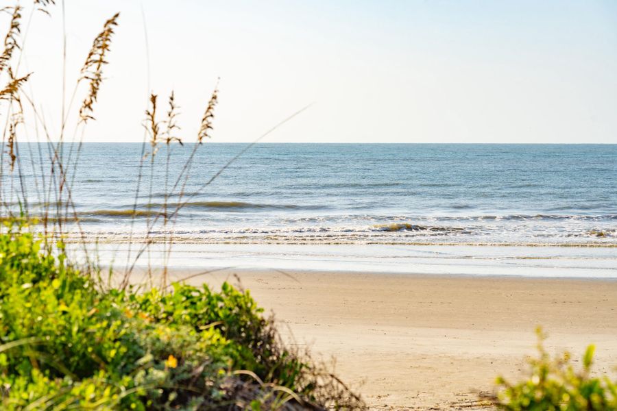 Natural landscape and outdoor views near  in Isle Of Palms (Image 63).