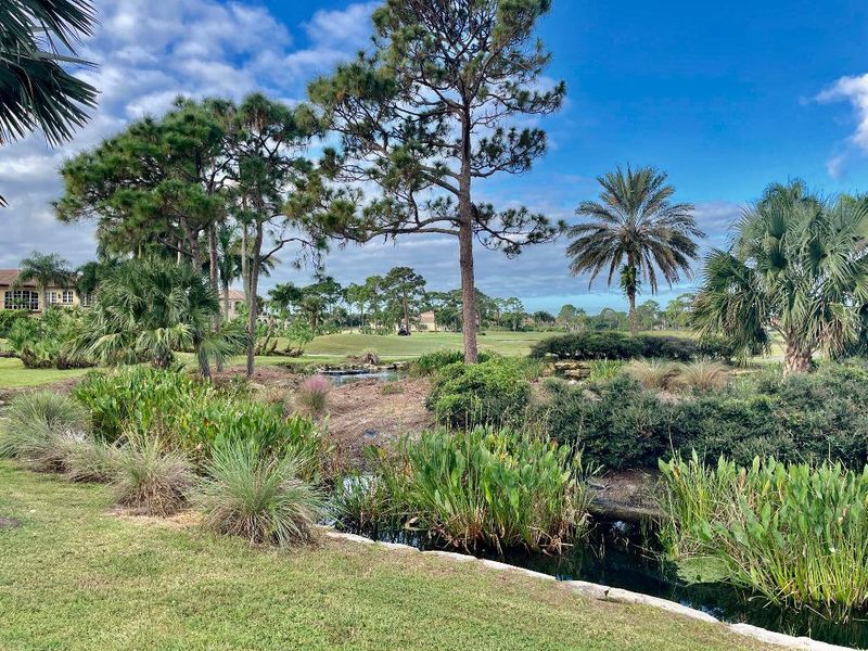 View of Water Feature and Green
