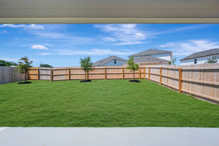 Backyard Backyard