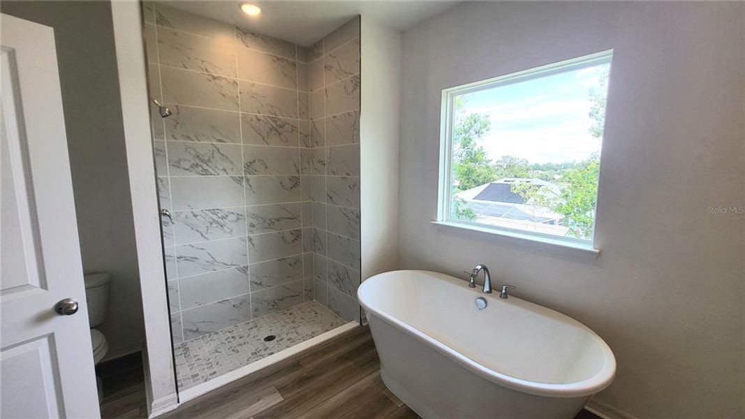 Furnished interior view inside a new home in Spring Hill, Spring Hill (Image 24). Furnished interior view inside a new home in Spring Hill, Spring Hill (Image 24).