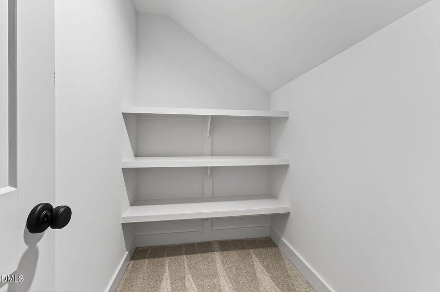 50-web-or-mls-048_DSC04817 50-web-or-mls-048_DSC04817