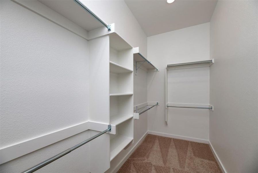 Spacious closet with light carpet Spacious closet with light carpet
