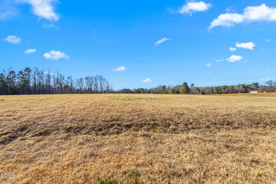 6030 Preacher Hayes Road-45