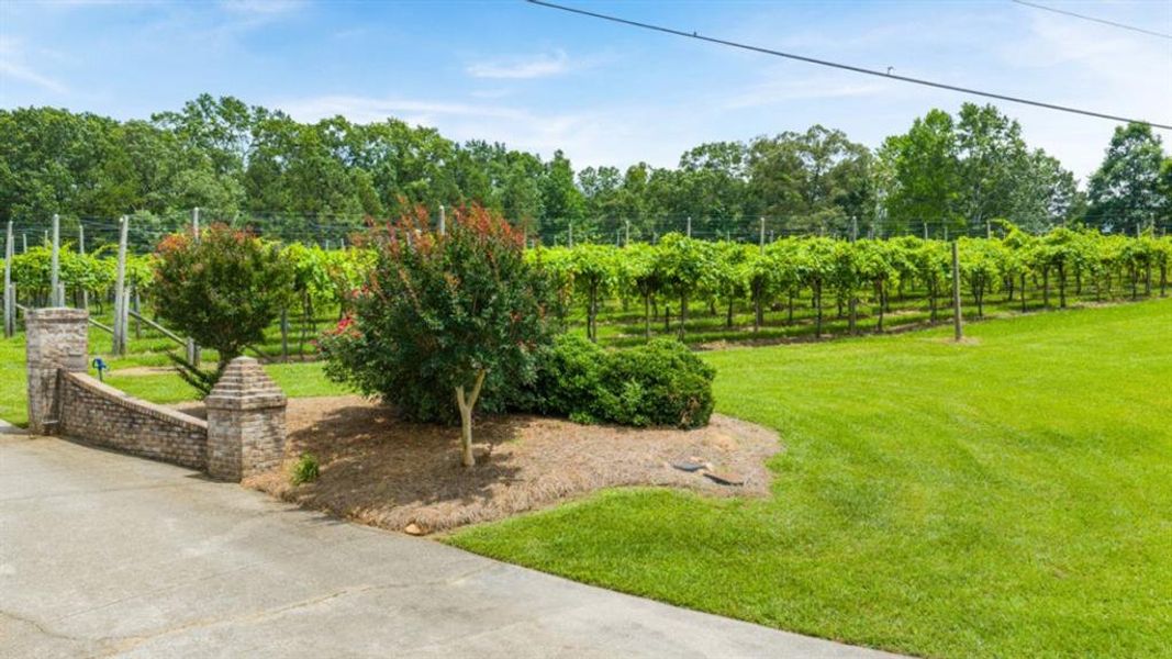 Natural landscape and outdoor views near Northwoods at Mirror Lake in Villa Rica (Image 62). Natural landscape and outdoor views near Northwoods at Mirror Lake in Villa Rica (Image 62).