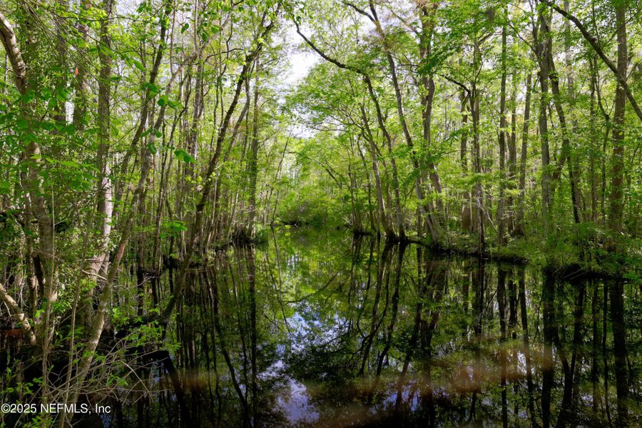 Natural landscape and outdoor views near Trailmark - Phase 6 in St. Augustine (Image 54). Natural landscape and outdoor views near Trailmark - Phase 6 in St. Augustine (Image 54).