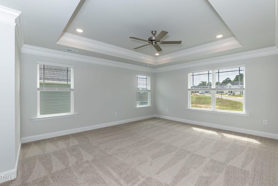 Primary 01 Primary 01