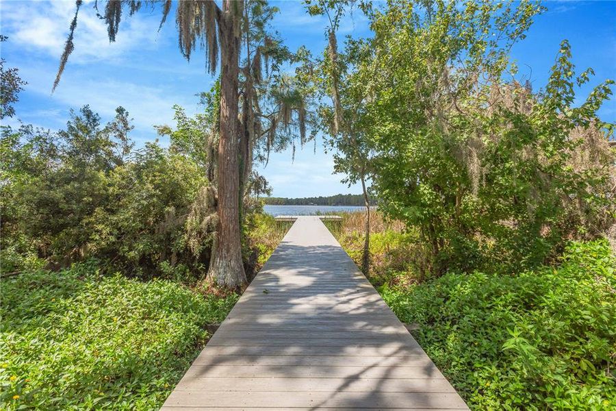Natural landscape and outdoor views near  in Land O' Lakes (Image 26).