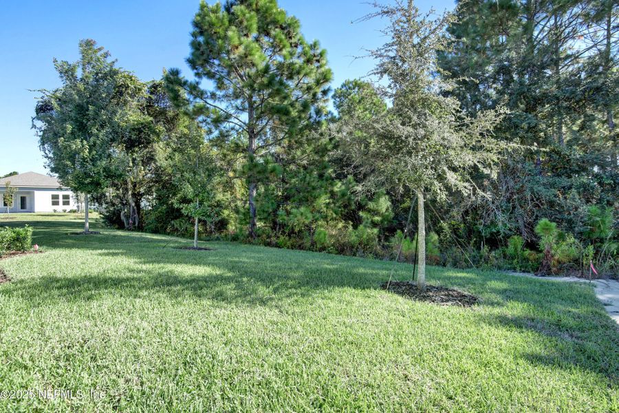 Natural landscape and outdoor views near Reverie at TrailMark in St. Augustine (Image 13). Natural landscape and outdoor views near Reverie at TrailMark in St. Augustine (Image 13).