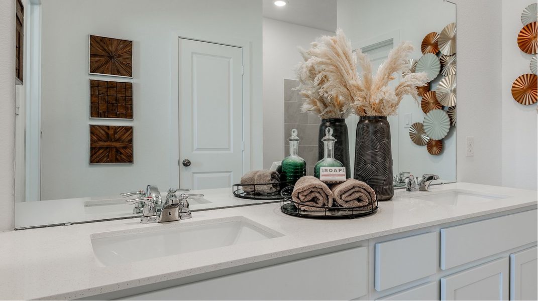 Pic EI Owners Bath Countertop Cabinetry Pic EI Owners Bath Countertop Cabinetry