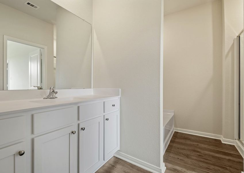Master bathroom with step-in shower