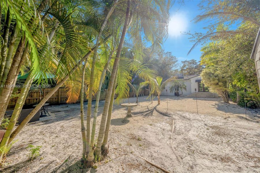 Natural landscape and outdoor views near in Miami (Image 19). Natural landscape and outdoor views near in Miami (Image 19).