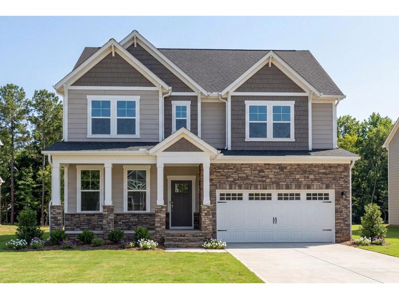 The Chestnut D The Chestnut D