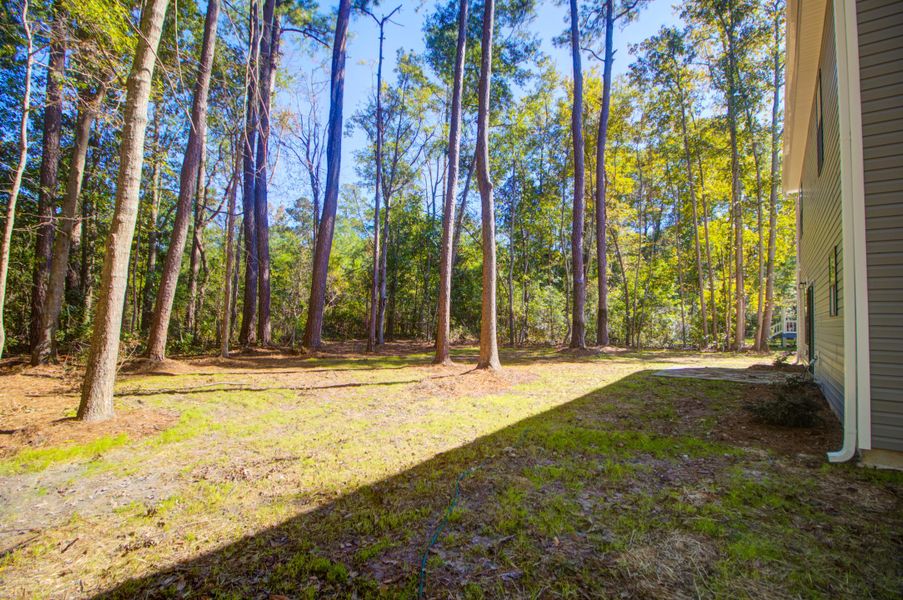 Exterior details and patio area of a home in , Summerville (Image 3).