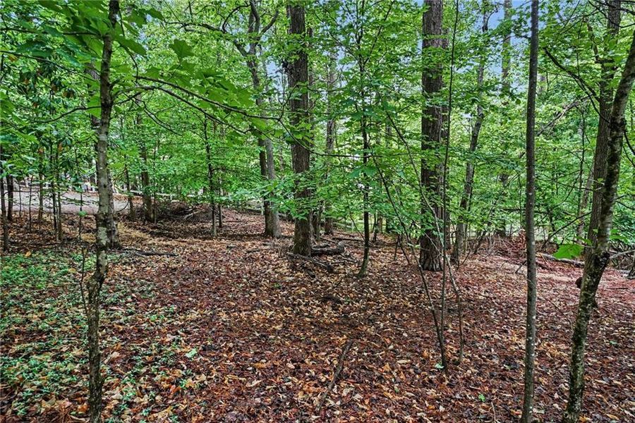 Natural landscape and outdoor views near  in Marietta (Image 19).