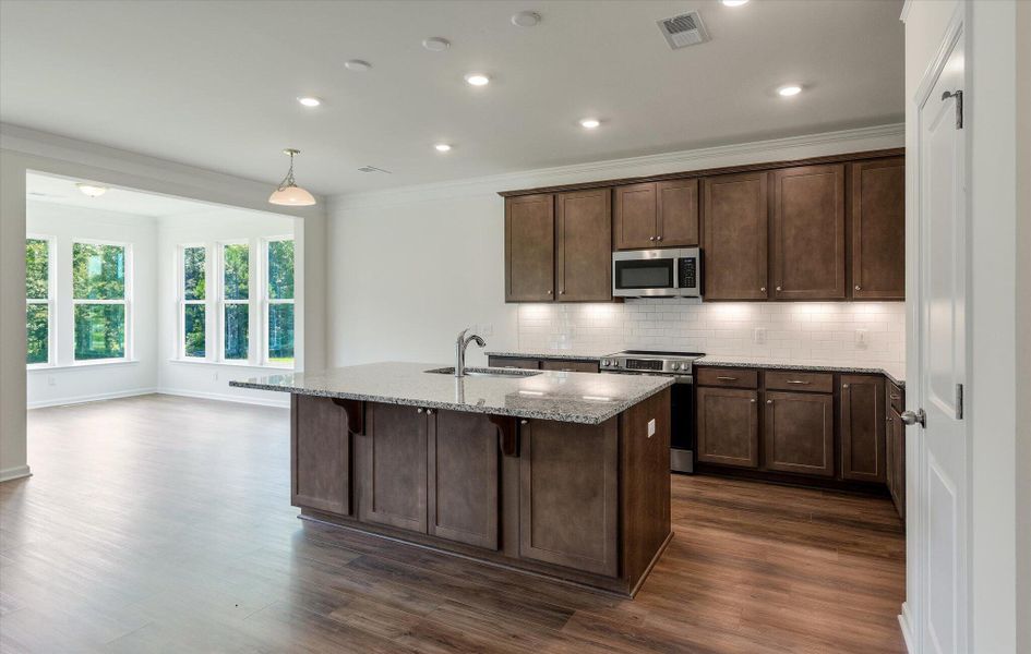 Furnished interior view inside a new home in Parker's Preserve, Ridgeville (Image 9).