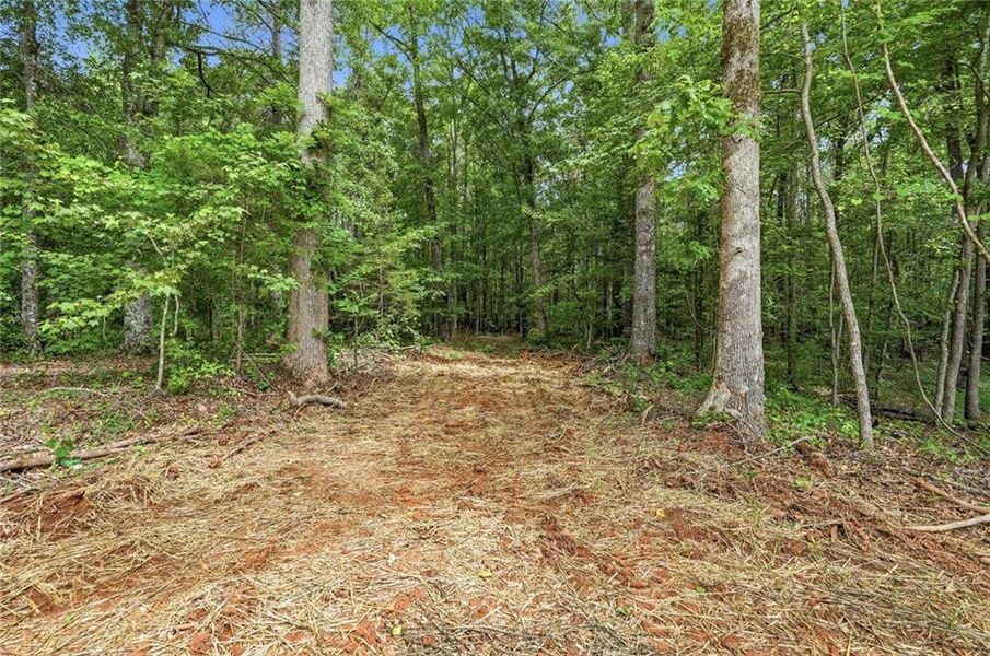 Natural landscape and outdoor views near  in Covington (Image 75).