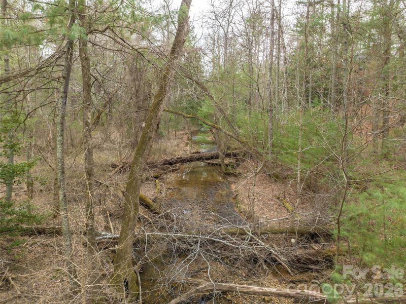 Natural landscape and outdoor views near  in Asheville (Image 18).
