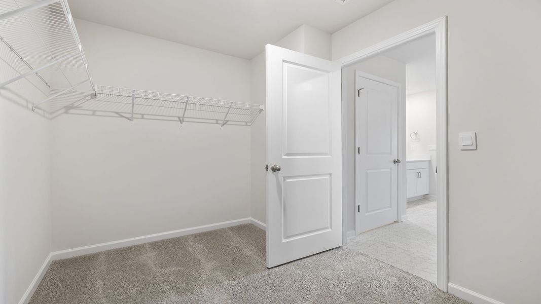 Spacious, unfurnished interior of a new home in Treemont Commons, Wellford (Image 25).