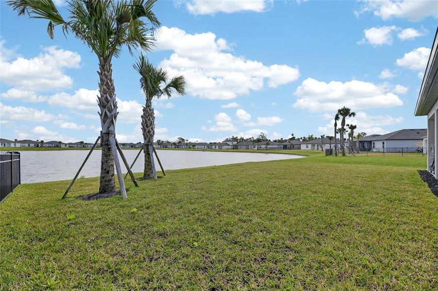 Exterior details and patio area of a home in Summerwoods, Parrish (Image 29).