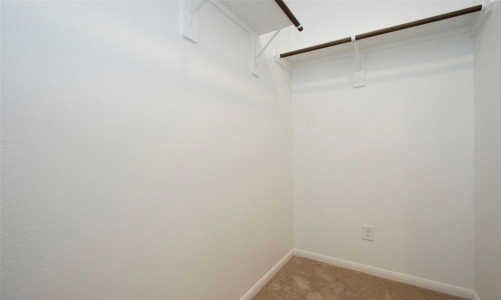 Spacious, unfurnished interior of a new home in Windrow, Hockley (Image 31).