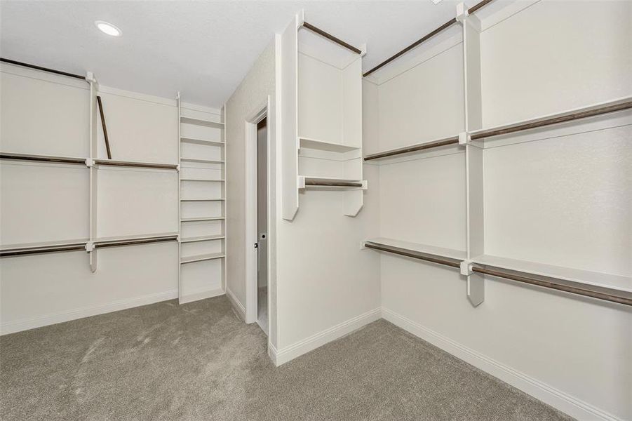 Spacious closet featuring light carpet