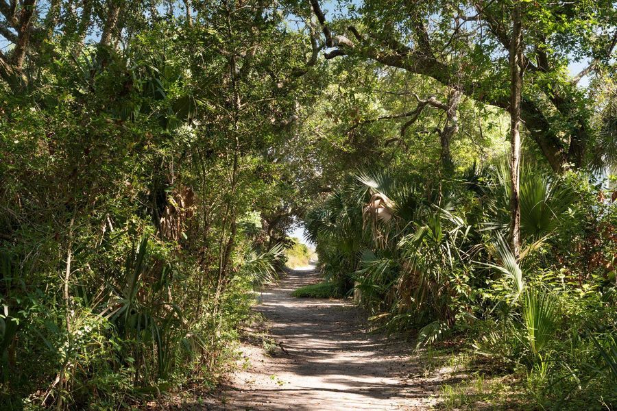 Natural landscape and outdoor views near in Isle Of Palms (Image 48). Natural landscape and outdoor views near in Isle Of Palms (Image 48).