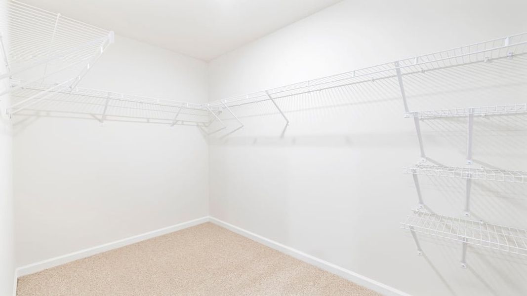 Spacious, unfurnished interior of a new home in Sage Grove, Lyman (Image 26).