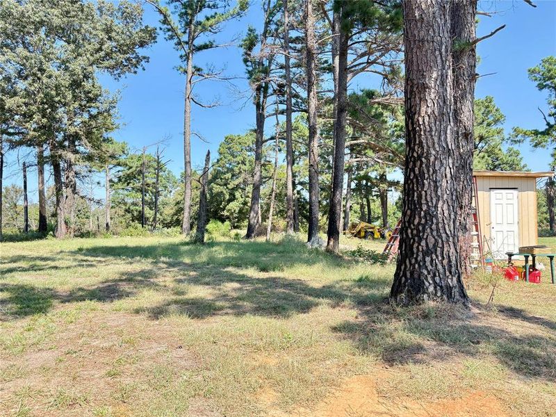 Natural landscape and outdoor views near  in Canton (Image 17).