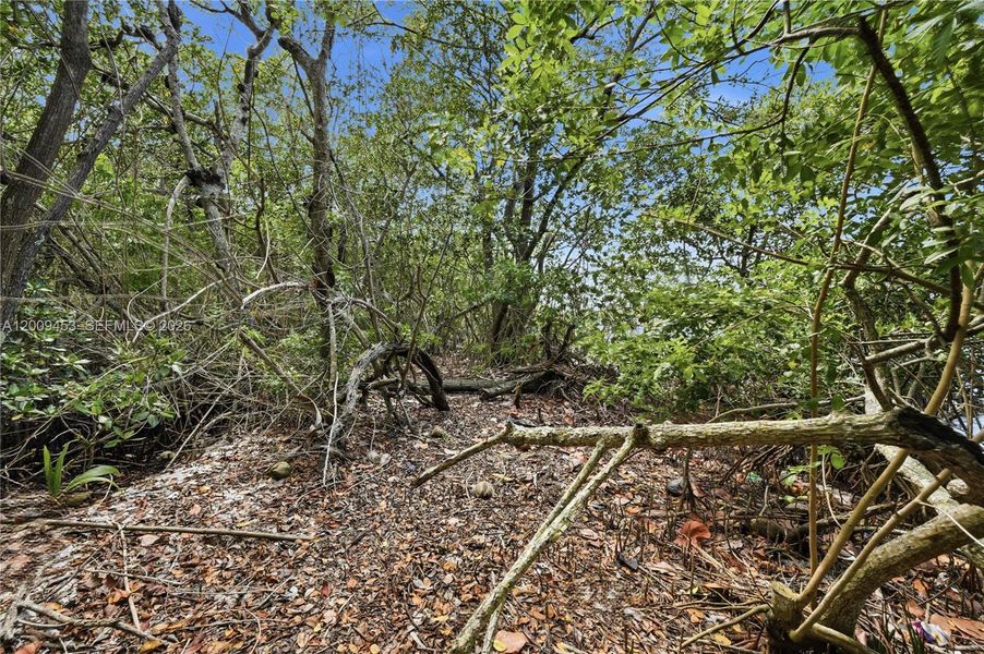 Natural landscape and outdoor views near  in Jupiter (Image 9).