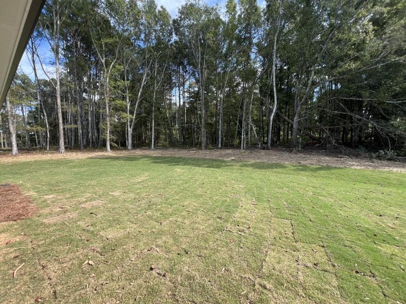 Natural landscape and outdoor views near  in Good Hope (Image 38).