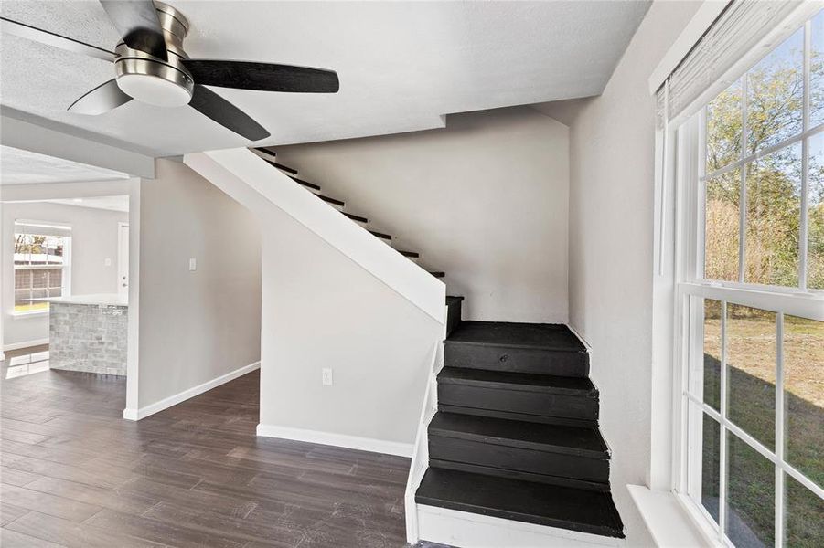 Stairway featuring wood finished floors and ceiling fan