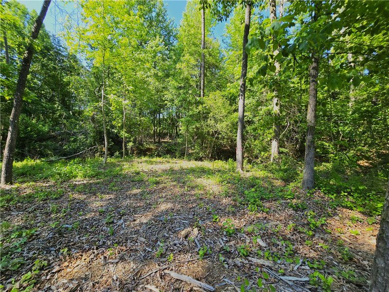 This verdant lot offers a tranquil setting with ab