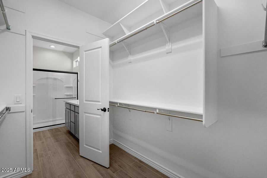 hj-az-phoenix-mystic-discovery-lily-lot-