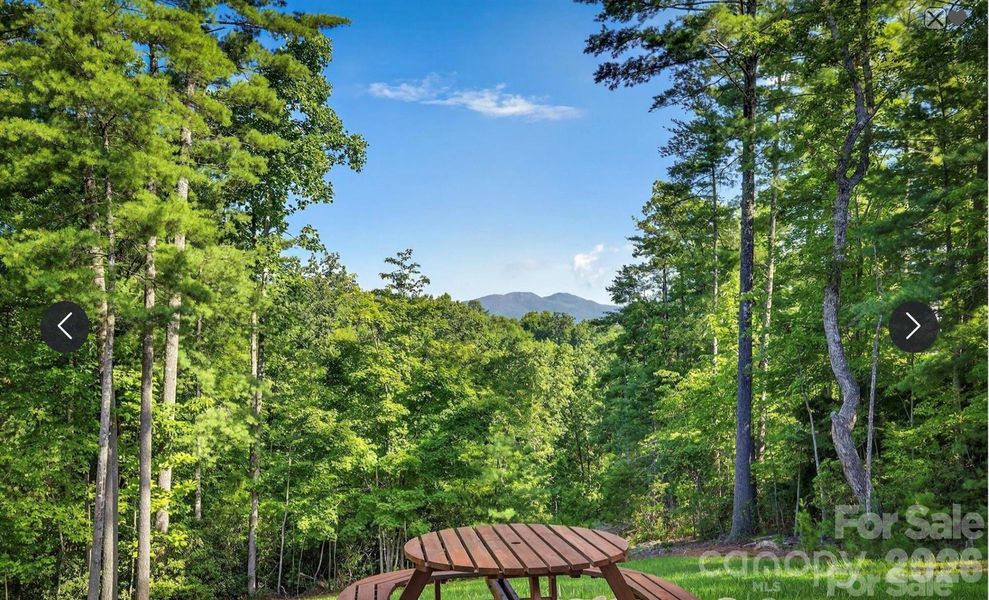 View of Dobson's Knob