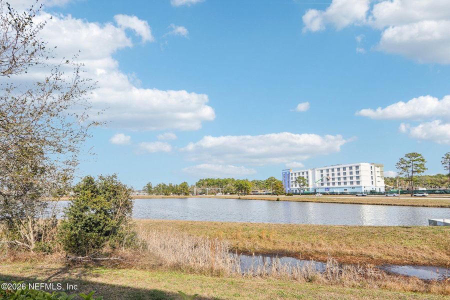 Natural landscape and outdoor views near in Jacksonville (Image 39). Natural landscape and outdoor views near in Jacksonville (Image 39).