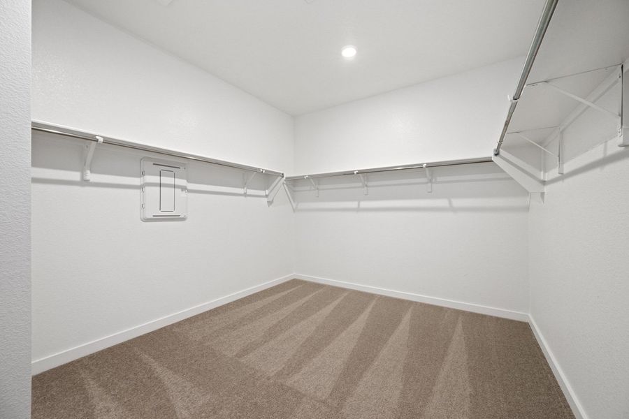 Representative Primary Closet - some options shown