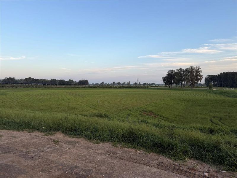 Natural landscape and outdoor views near in Newberry (Image 18). Natural landscape and outdoor views near in Newberry (Image 18).