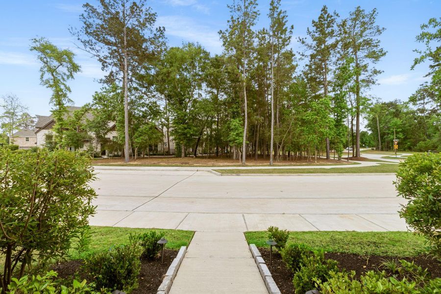 View from the front door - lovely wooded green space views.
