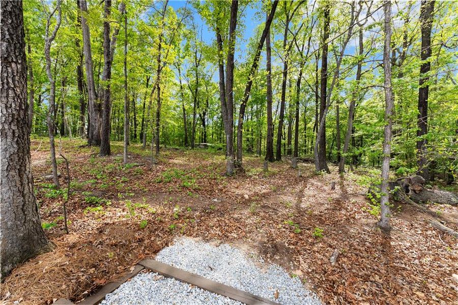 Natural landscape and outdoor views near  in Jefferson (Image 96).